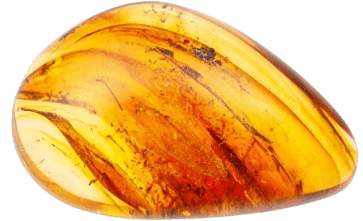 Une ambre