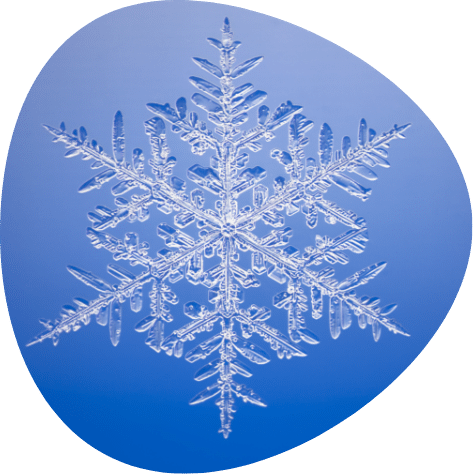 Flocon de neige