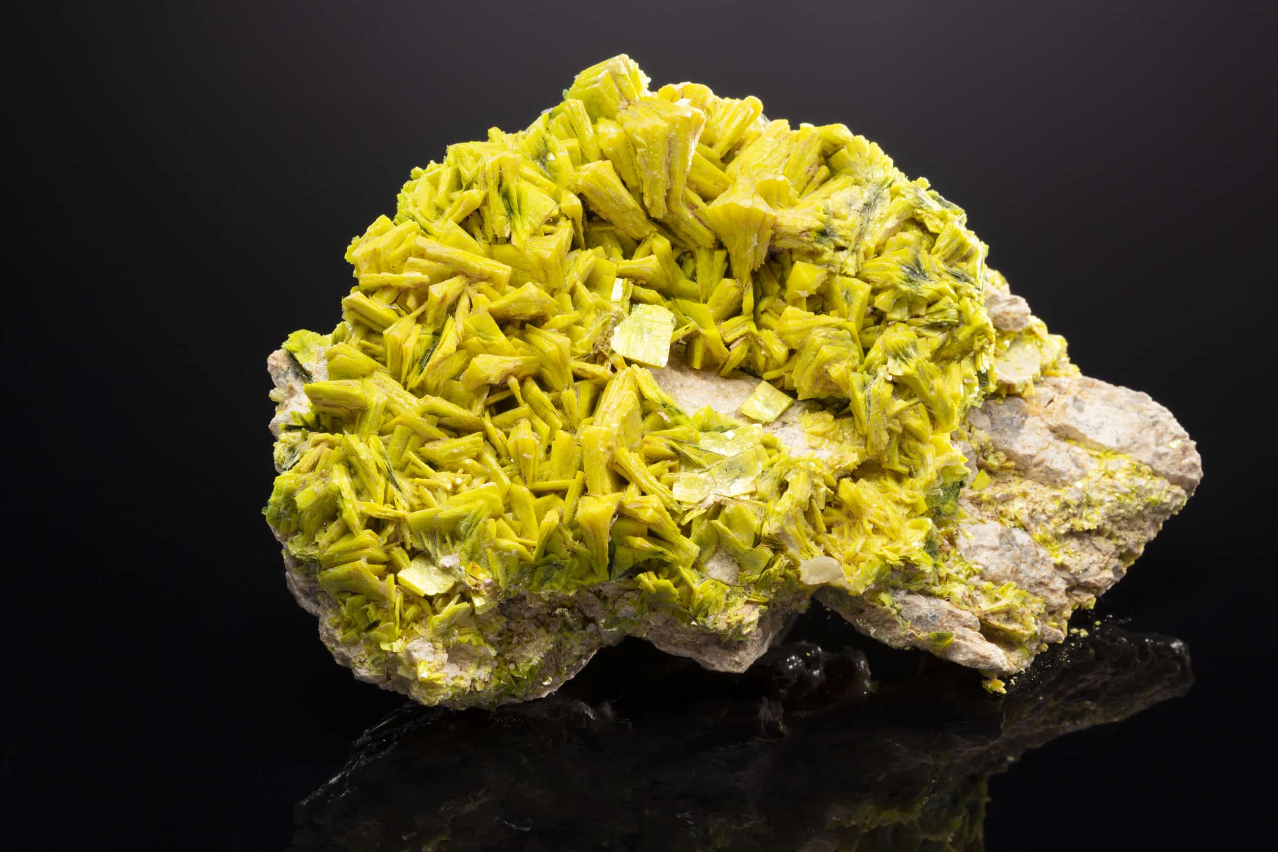 Autunite-5791 Spécimen d'autunite de 12 cm formant des lames et tablettes jaune vif à vert fluorescent très friables, minéral radioactif associé à l'uranium, provenant de Washington, États-Unis
