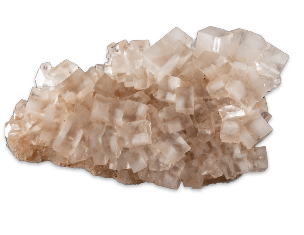 Photo d'une Halite