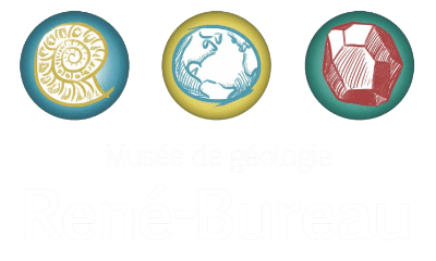 Logo des Géosciences