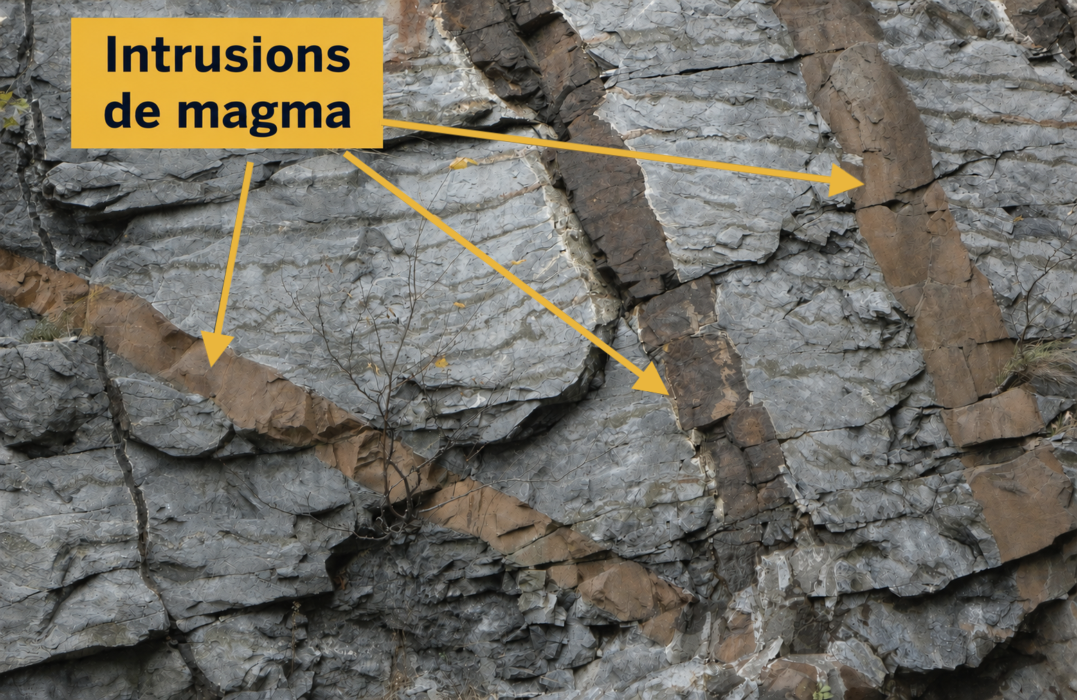 Magma Photo de roche montrant des filons de magma brun-orangé (annotés « Intrusions de magma ») traversant et recoupant des calcaires gris du Mont-Royal